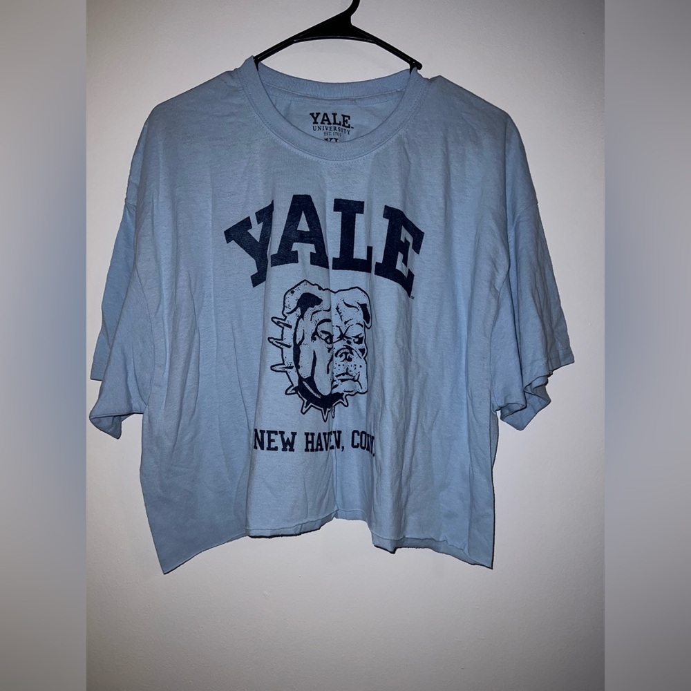 Ladies Yale Crop Top Baby Blue